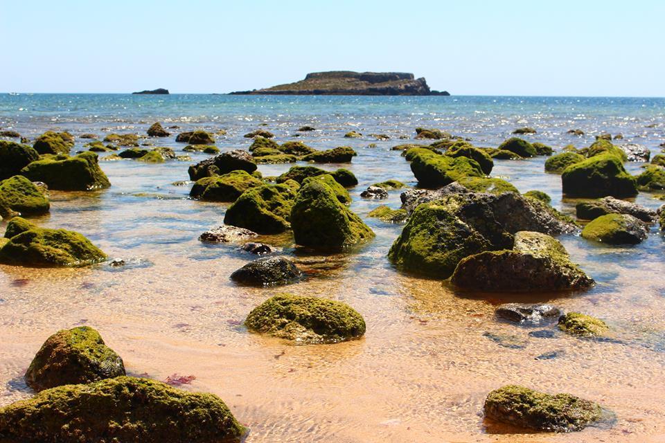 Sagres Sunny Room With Private Bathroom 300M From The Beach Экстерьер фото